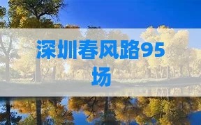 深圳春风路95场