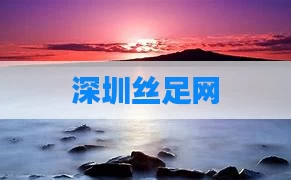深圳丝足网