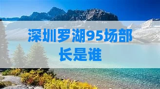 深圳罗湖95场部长是谁