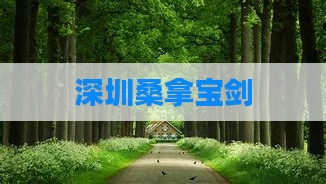深圳桑拿宝剑