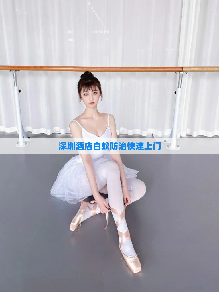 深圳酒店白蚁防治快速上门