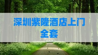 深圳紫隆酒店上门全套