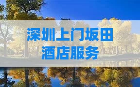 深圳上门坂田酒店服务