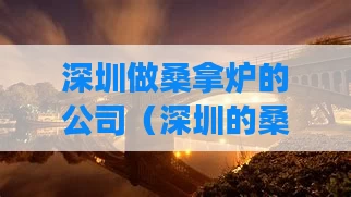 深圳做桑拿炉的公司(深圳的桑拿开业了吗)