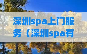 深圳spa上门服务（深圳spa有什么服务）